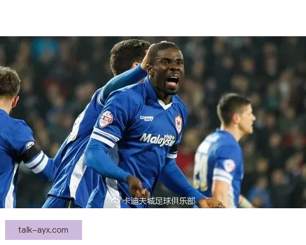 卡迪夫城俱乐部宣布新赛季阵容更新 加强攻防线引进多名新援